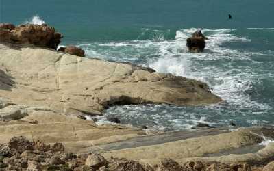 Wycieczka fakultatywna, Wycieczka Marathon Jeep Safari - Narodowy Park Akamas z Pissouri